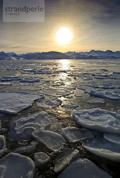Pfannkuchen-Eis auf Meer bei Sisimiut  Grönland