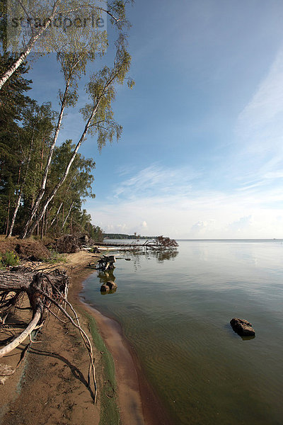 Küste am Kurischen Haff im Nationalpark Kuröiu Nerija auf der Kurischen Nehrung bei Nida in Litauen