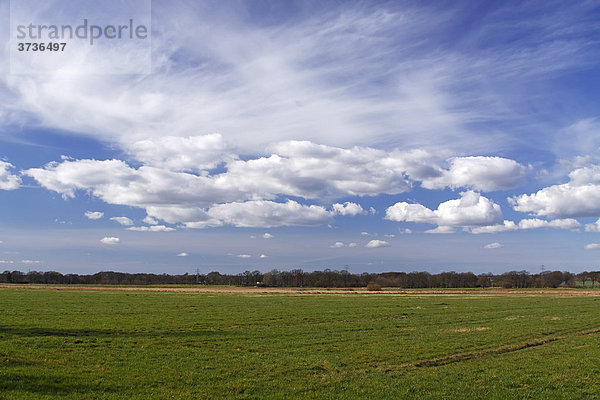 Landschaft mit weißen Wolken am blauen Himmel  grüne Wiesen im Frühling  Naturschutzgebiet Oberalsterniederung  Schleswig-Holstein  Deutschland