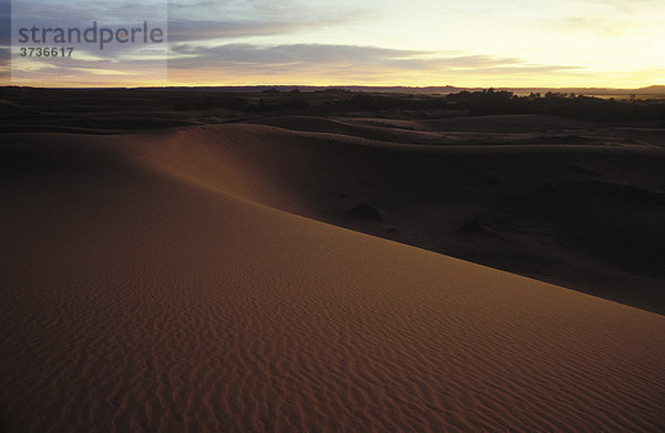 Dünen  Sanddünen  Wüste  Wüstenlandschaft  Dämmerung  Erg Chebbi  bei Merzouga  Marokko  Afrika