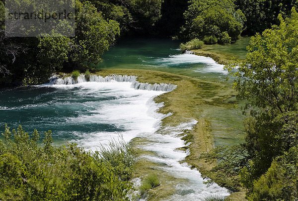 Krka Wasserfälle  Krka Nationalpark  Dalmatien  Kroatien  Europa