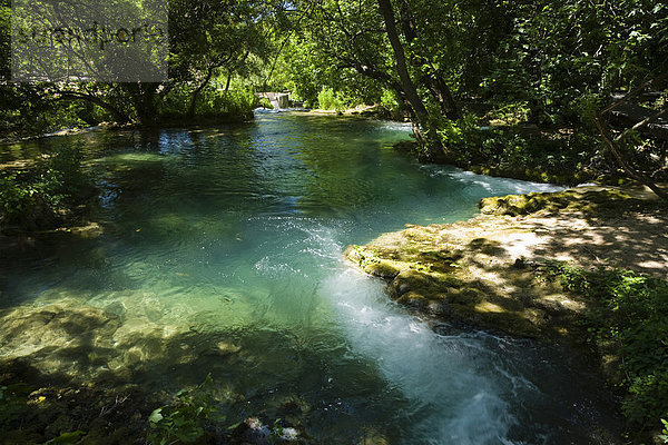 Stilles Gewässer  Krka Nationalpark  Dalmatien  Kroatien  Europa