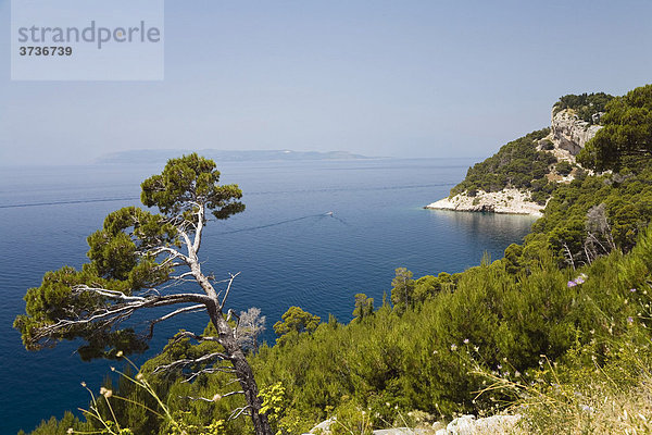 Felsküste und einsame Bucht bei Makarska  Dalmatien  Kroatien  Adria  Mittelmeer  Europa