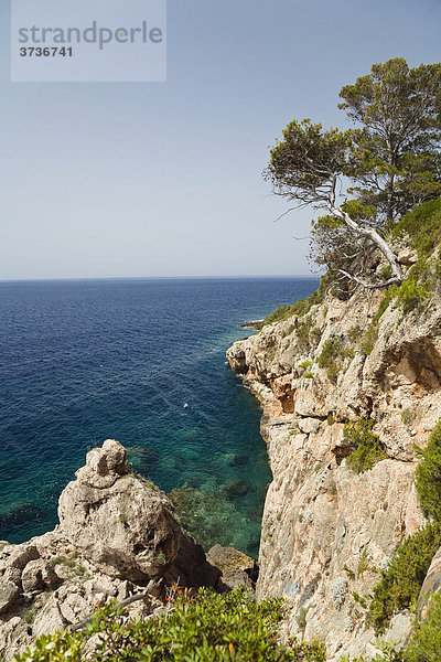 Steile Klippen auf der Insel Hvar  Adria  Dalmatien  Kroatien  Adria  Mittelmeer  Europa