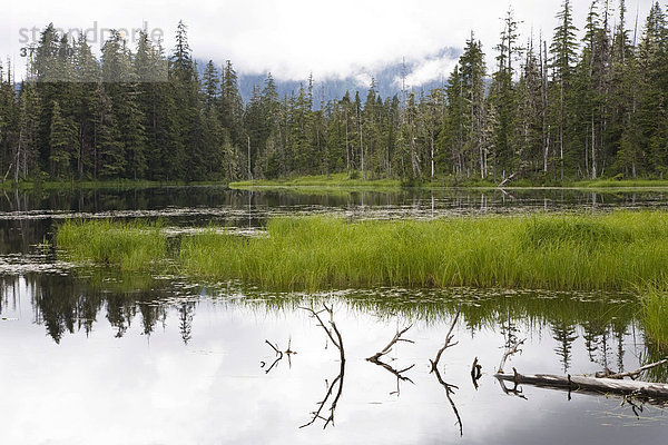 Crane Lake bei Petersburg  Tongass National Forest  Mitkof Island  Südost-Alaska  Alaska  USA  Nordamerika