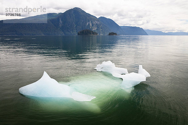 Eisscholle  Eisberg  Inside Passage  Südost-Alaska  Alaska  USA  Nordamerika