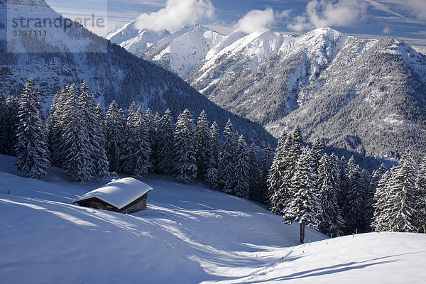 Moosenalm am Schafreuter im Schnee  Karwendel  Bayern  Deutschland  Europa