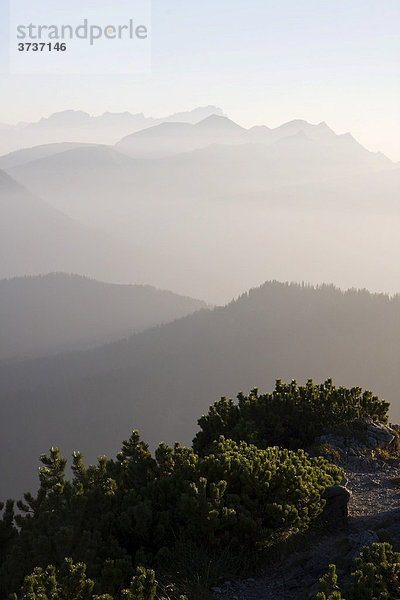 Bergkämme vom Herzogstand  Walchensee  Bayern  Deutschland  Europa