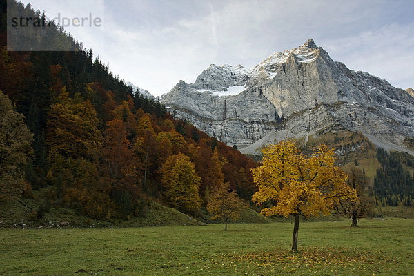 Spitzkarspitze im Herbst  Eng  Tirol  Österreich  Europa