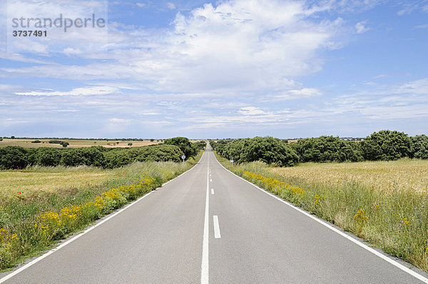 Einsame Landstraße  geradlinig  Horizont  Campo  Felder  Wiesen  Provinz Cuenca  Kastilien La Mancha  Spanien  Europa