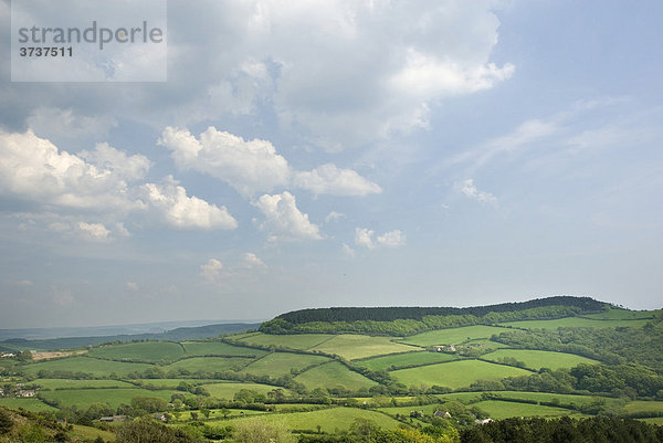 Typische englische Landschaft mit Weide und Hecken  blauer Himmel und Wolken  Südengland  England  Großbritannien  Europa