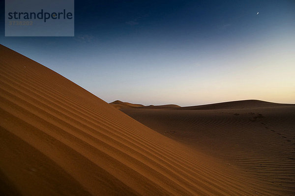 Wüste mit Sanddünen  Dubai  Vereinigte Arabische Emirate  Naher Osten