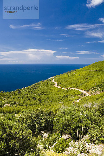 Weg durch Küstenlandschaft  Insel Mljet  Dubrovnik-Neretva  Dalmatien  Kroatien  Europa