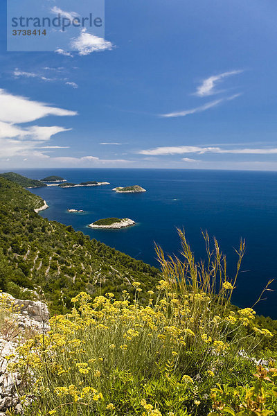Inselgruppe vor der Insel Mljet  Dubrovnik-Neretva  Dalmatien  Kroatien  Europa