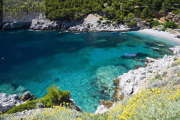 Badebucht U. Sutmiholjska  Insel Mljet  Dubrovnik-Neretva  Dalmatien  Kroatien  Europa
