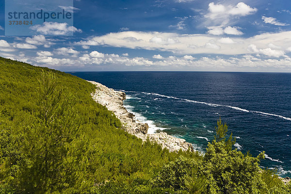Küstenlandschaft  Insel Mljet  Dubrovnik-Neretva  Dalmatien  Kroatien  Europa
