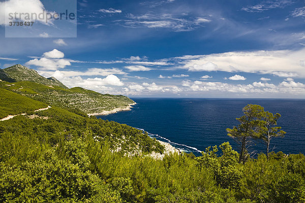 Küstenlandschaft  Insel Mljet  Dubrovnik-Neretva  Dalmatien  Kroatien  Europa