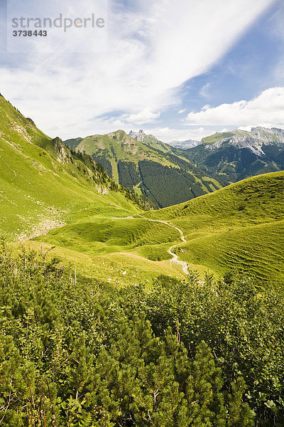 Wanderweg in den Eisenerzer Alpen mit Blickrichtung Präbichl  Eisenerz  Steiermark  Österreich  Europa