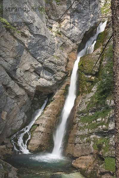 Wasserfall  Slap Savica  Nationalpark Triglav  Slowenien  Europa