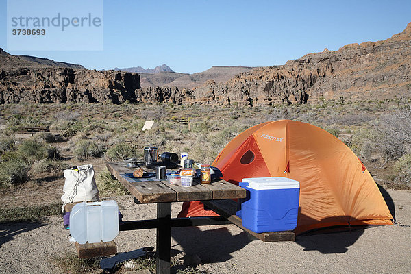 Zelt  Camp im Mojave National Preserve  Kalifornien  USA