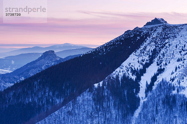 Wintermorgen in Mala Fatra National Park  Zentral-Slowakei  Slowakei  Zentral-Europa