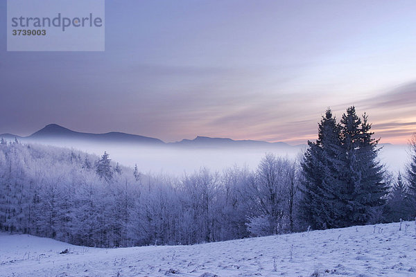 Morgen auf dem Hügel Kremeniste  Strazovske vrchy Naturschutzgebiet  Slowakei  Europa
