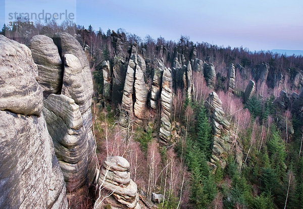 Felsen in Broumovske steny  unter Naturschutz stehende Landschaftsregion Broumovsko  Nachod Bezirk  Ost-Böhmen  Tschechische Republik  Europa