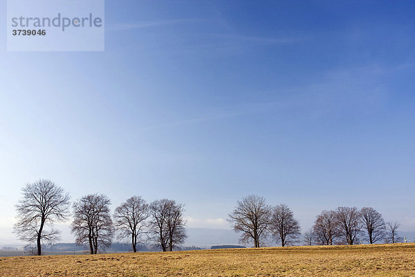 Frühe Frühlingslandschaft in Sonov  Nachod Bezirk  Ost-Böhmen  Tschechische Republik  Europa