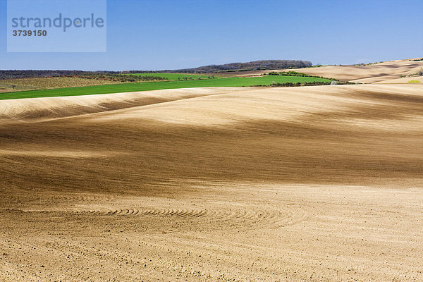 Felder bei Cejkovice  Hodonin  Südmährische Region  Tschechien  Europa