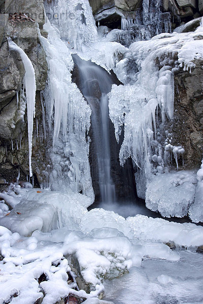 Gefrorener Wasserfall in Svaty Stepan  Brumov-Bylnice  Naturschutzgebiet Weiße Karpaten  Bile Karpaty  Mähren  Tschechische Republik  Europa