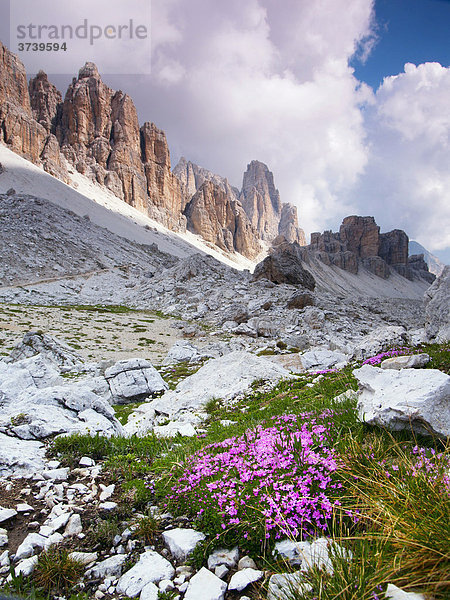 Fanis Bergrand von Forc. Travenanzes aus gesehen  Dolomiten  Alpen  Italien  Europa