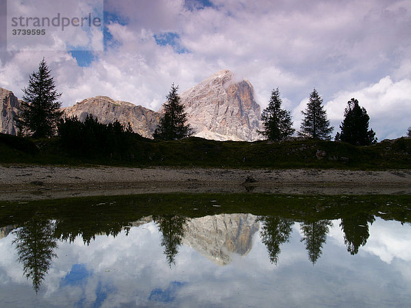 See Lago Val de Limides und Tofana di Rozes  mit sich reflektierenden Bäumen  Dolomiten  Alpen  Italien  Europa