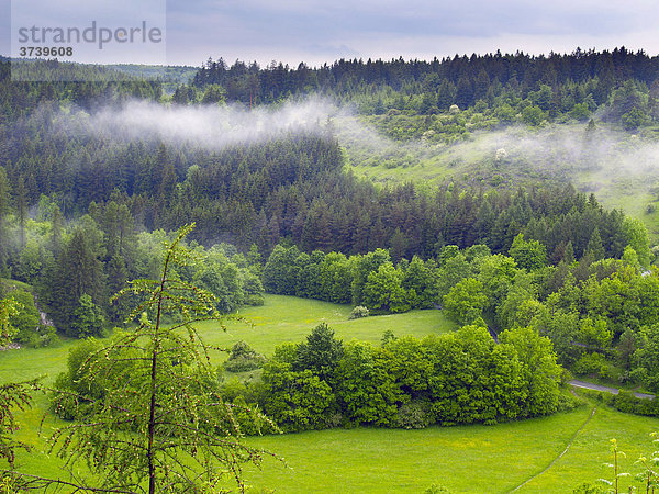 Landschaft nahe Vilemovice mit Nebelstreifen  Naturschutzgebiet Moravsky Kras  Süd-Mähren  Tschechische Republik  Europa