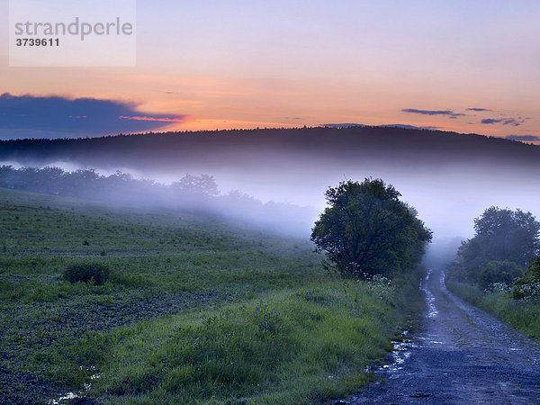 Landschaft mit Bodennebel nahe Pitin  Naturschutzgebiet Weiße Karpaten  Bile Karpaty  Mähren  Tschechische Republik  Europa