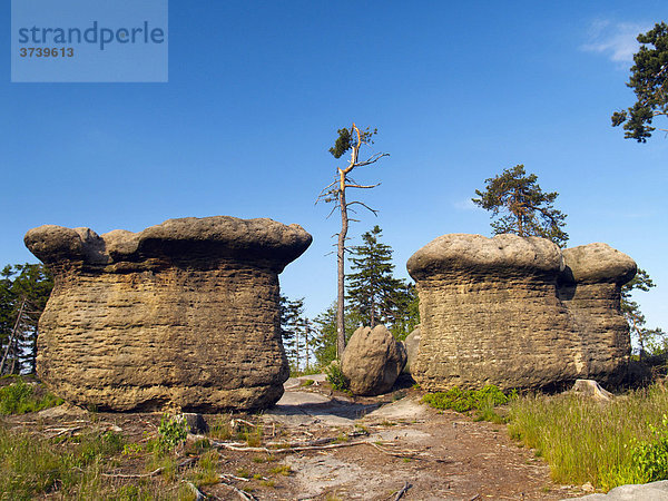 Pilzförmige Felsen in Broumovske steny bei Slavny  Naturschutzgebiet Broumovsko  Ost-Böhmen  Tschechische Republik  Europa