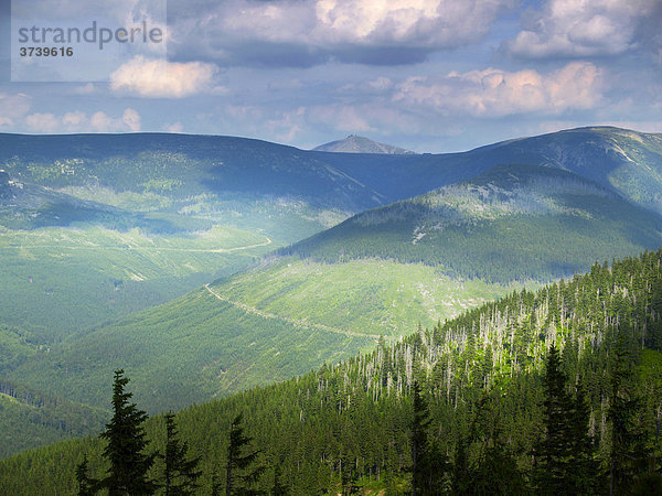 Snezka-Gipfel  1602 m  von Smid's Aussichtspunkt  Krkonose Nationalpark  Riesengebirge Nationalpark  Ost-Böhmen  Tschechische Republik  Europa