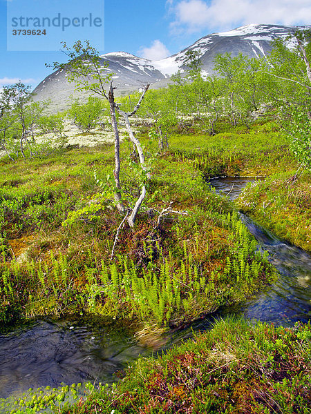 Bach im Langglupdalen Tal  dahinter Berge  Rondane-Nationalpark  Norwegen  Skandinavien  Nordeuropa