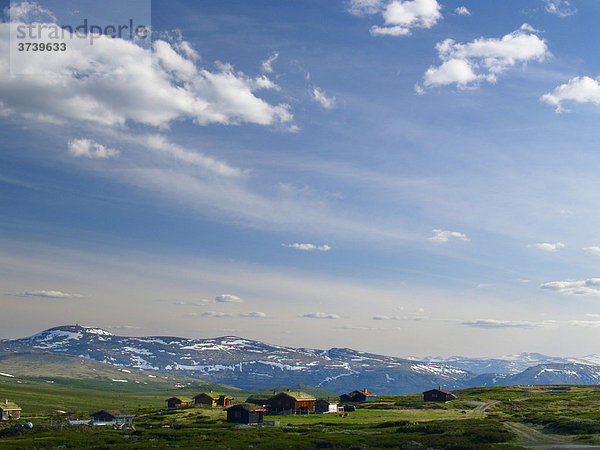 Grimsdalen Tal  Dovre Nationalpark  Norwegen  Skandinavien  Nordeuropa