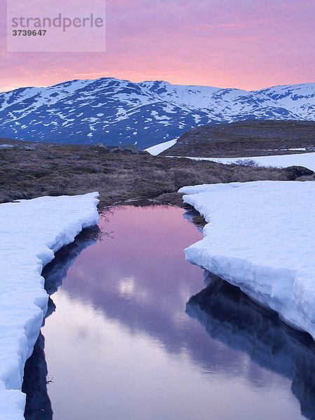 Raavredendurrie Tal  schmelzender Schnee  Börgefjell-Nationalpark  Nordland  Norwegen  Skandinavien  Nordeuropa