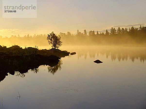 Nebel am frühen Morgen über dem GrotÂa Fluss  Femundsmarka-Nationalpark  Norwegen  Skandinavien  Nordeuropa