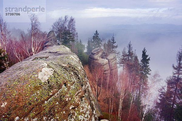 Felsen in Broumovske Steny  Naturschutzgebiet Broumovsko  Nachod-Distrikt  Ost-Böhmen  Tschechische Republik  Europa