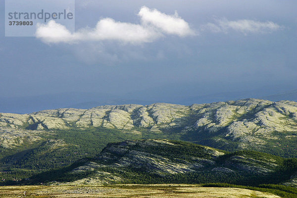 Landschaft im Nationalpark Rondane  Norwegen  Skandinavien  Nordeuropa