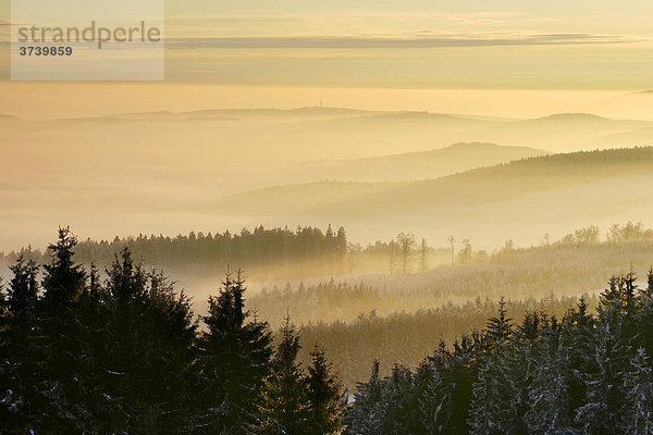 Südlicher Blick von Holy Vrch  Bile Karpaty  Weiße Karpaten  Naturschutzgebiet  Mähren  Tschechische Republik  Europa