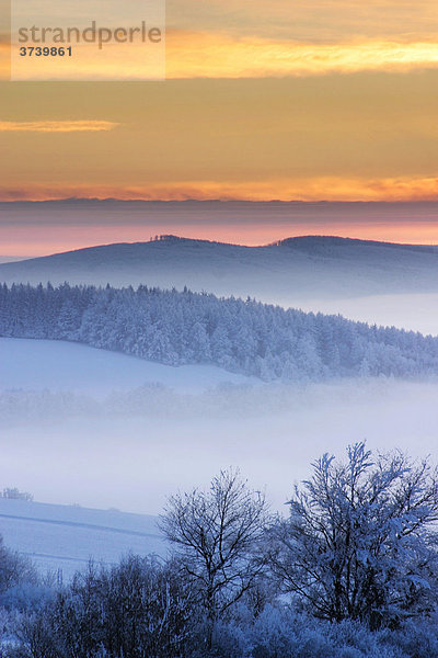 Javornik von Holy Vrch  Bile Karpaty  Weiße Karpaten  Naturschutzgebiet  Mähren  Tschechische Republik  Europa