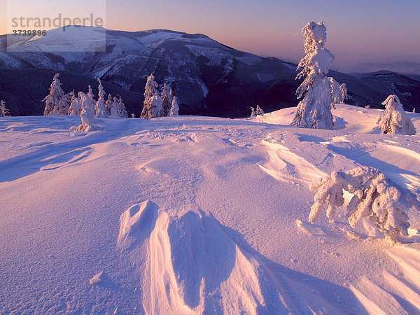 Verschneite Landschaft  Mravenecnik von Velky Klinovec  Jeseniky-Gebirge  Landschaftsschutzgebiet  Nord-Mähren  Tschechische Republik  Europa