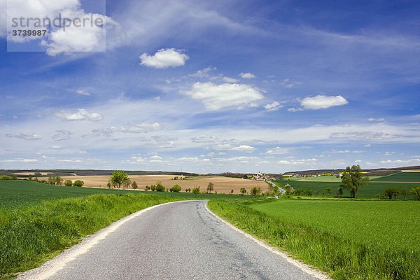 Frühlingslandschaft mit Straße bei Trstenice  Znojmo-Distrikt  Süd-Mähren  Tschechische Republik  Europa