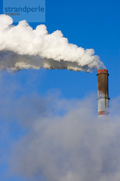 Rauchwolke eines Wärmekraftwerks in Tusimice  Chomutov  Nordböhmen  Tschechien  Europa