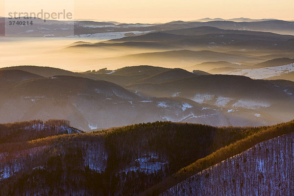 Wintermorgen auf dem Klak  Mala Fatra Gebirge  Naturschutzgebiet  Slowakei  Europa