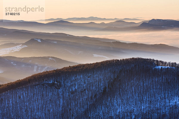 Wintermorgen auf dem Klak  Mala Fatra Gebirge  Naturschutzgebiet  Slowakei  Europa