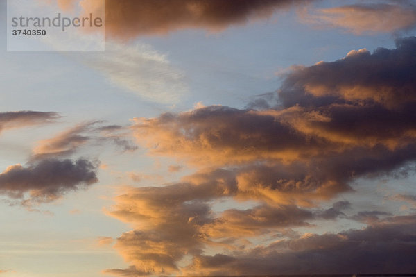 Wolkenhimmel bei Sonnenuntergang  Kumuluswolken  Estland  Baltikum  Nordosteuropa